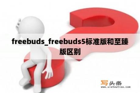 freebuds_freebuds5标准版和至臻版区别