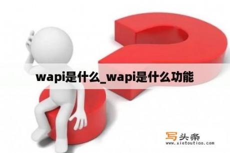 wapi是什么_wapi是什么功能