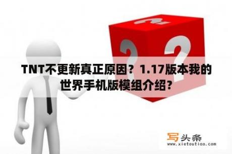 TNT不更新真正原因？1.17版本我的世界手机版模组介绍？