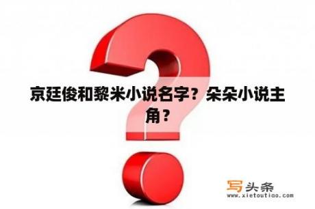 京廷俊和黎米小说名字？朵朵小说主角？