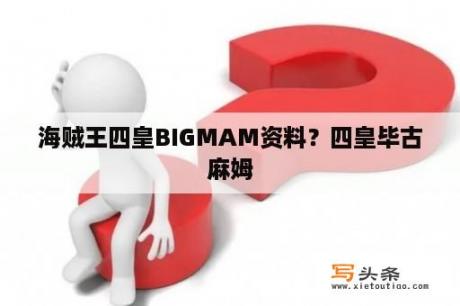 海贼王四皇BIGMAM资料？四皇毕古麻姆