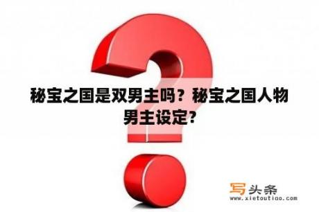 秘宝之国是双男主吗？秘宝之国人物男主设定？