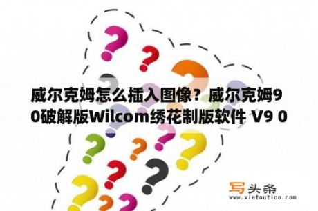 威尔克姆怎么插入图像？威尔克姆9 0破解版Wilcom绣花制版软件 V9 0 中文免费版