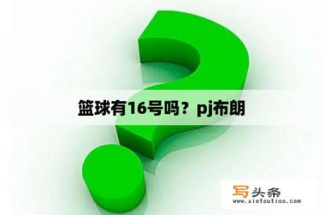 篮球有16号吗？pj布朗