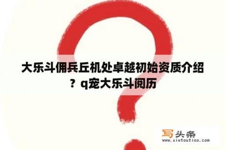 大乐斗佣兵丘机处卓越初始资质介绍？q宠大乐斗阅历