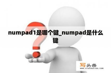 numpad1是哪个键_numpad是什么键