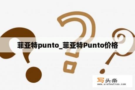 菲亚特punto_菲亚特Punto价格