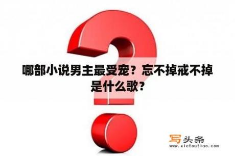 哪部小说男主最受宠？忘不掉戒不掉是什么歌？