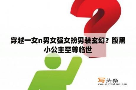 穿越一女n男女强女扮男装玄幻？腹黑小公主至尊临世