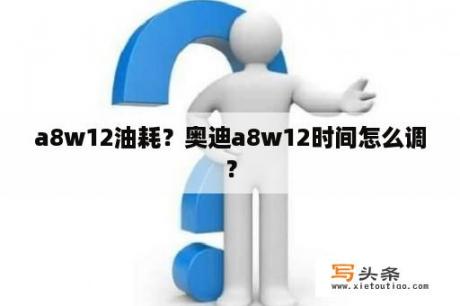 a8w12油耗？奥迪a8w12时间怎么调？