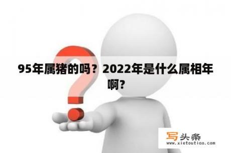 95年属猪的吗？2022年是什么属相年啊？