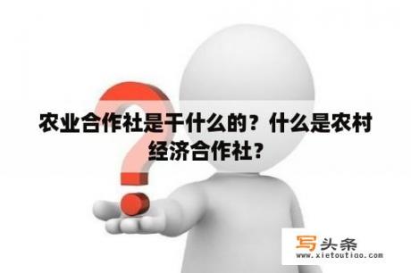 农业合作社是干什么的？什么是农村经济合作社？