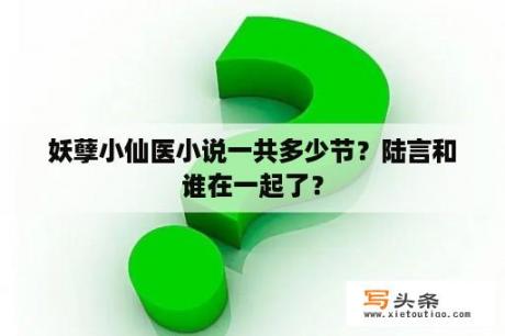 妖孽小仙医小说一共多少节？陆言和谁在一起了？