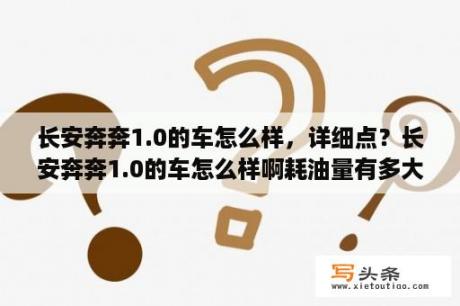 长安奔奔1.0的车怎么样，详细点？长安奔奔1.0的车怎么样啊耗油量有多大啊？