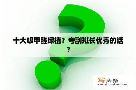 十大吸甲醛绿植？夸副班长优秀的话？