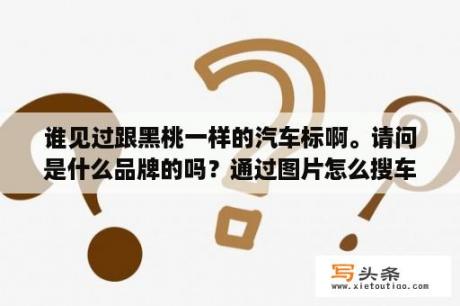 谁见过跟黑桃一样的汽车标啊。请问是什么品牌的吗？通过图片怎么搜车？