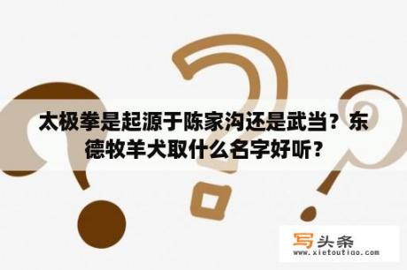 太极拳是起源于陈家沟还是武当？东德牧羊犬取什么名字好听？