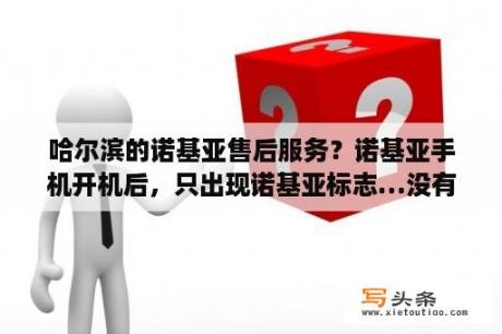 哈尔滨的诺基亚售后服务？诺基亚手机开机后，只出现诺基亚标志…没有反应，怎么回事?自己能修吗？