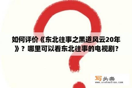 如何评价《东北往事之黑道风云20年》？哪里可以看东北往事的电视剧？