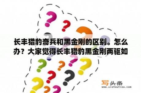 长丰猎豹奇兵和黑金刚的区别。怎么办？大家觉得长丰猎豹黑金刚两驱如何？