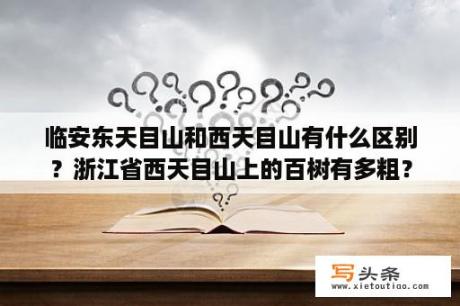 临安东天目山和西天目山有什么区别？浙江省西天目山上的百树有多粗？