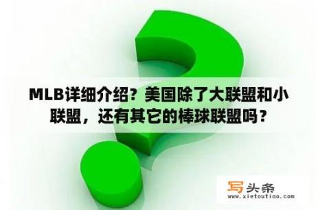 MLB详细介绍？美国除了大联盟和小联盟，还有其它的棒球联盟吗？