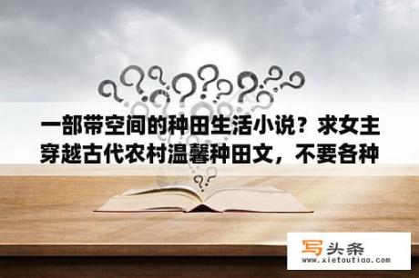 一部带空间的种田生活小说？求女主穿越古代农村温馨种田文，不要各种斗的幸福结局。最好是架空的家长里短，自带空间也可以？