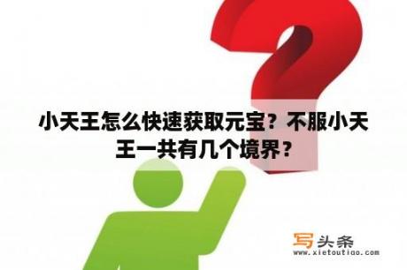 小天王怎么快速获取元宝？不服小天王一共有几个境界？