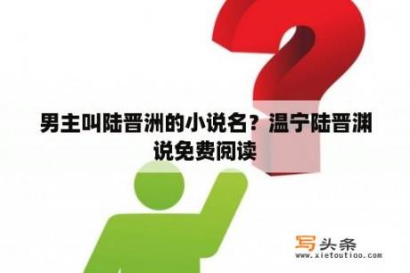 男主叫陆晋洲的小说名？温宁陆晋渊说免费阅读