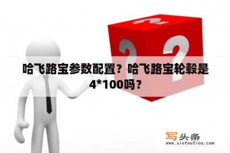 哈飞路宝参数配置？哈飞路宝轮毂是4*100吗？