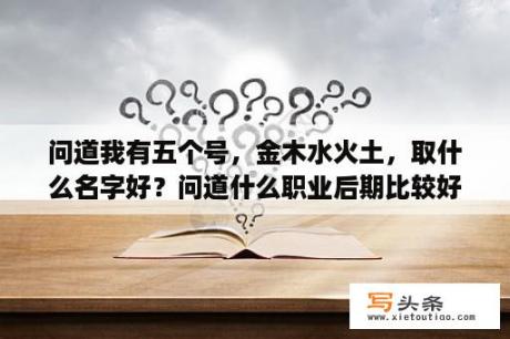 问道我有五个号，金木水火土，取什么名字好？问道什么职业后期比较好混？