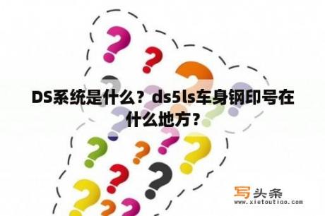 DS系统是什么？ds5ls车身钢印号在什么地方？