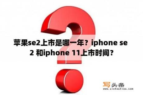 苹果se2上市是哪一年？iphone se 2 和iphone 11上市时间？
