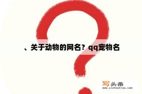 、关于动物的网名？qq宠物名