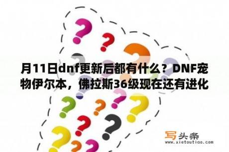 月11日dnf更新后都有什么？DNF宠物伊尔本，佛拉斯36级现在还有进化任务么？