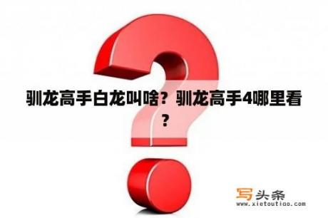 驯龙高手白龙叫啥？驯龙高手4哪里看？