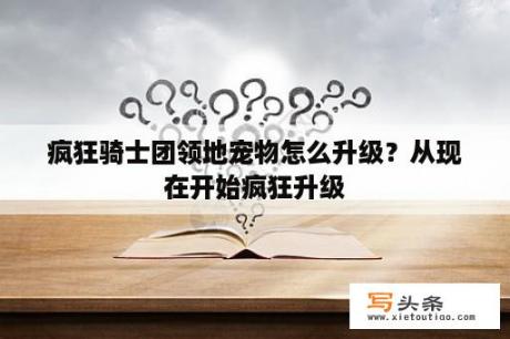 疯狂骑士团领地宠物怎么升级？从现在开始疯狂升级