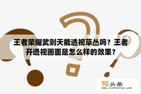 王者荣耀武则天能透视草丛吗？王者开透视画面是怎么样的效果？