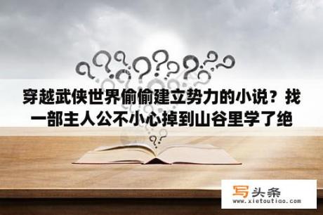 穿越武侠世界偷偷建立势力的小说？找一部主人公不小心掉到山谷里学了绝世武功的纯武侠小说？