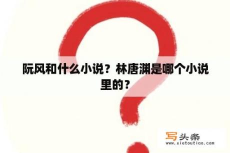 阮风和什么小说？林唐渊是哪个小说里的？