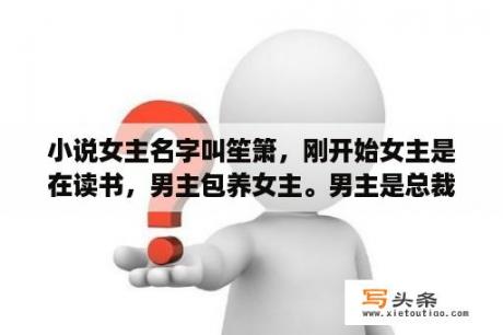 小说女主名字叫笙箫，刚开始女主是在读书，男主包养女主。男主是总裁？一开始