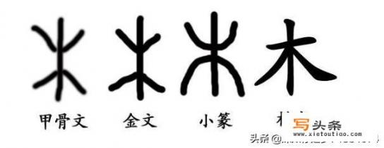 带有木字旁的字有哪些？木字旁的字有哪些字？