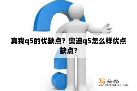 真我q5的优缺点？奥迪q5怎么样优点缺点？