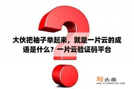 大伙把袖子举起来，就是一片云的成语是什么？一片云验证码平台