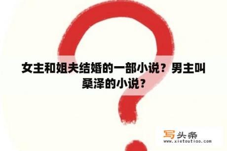 女主和姐夫结婚的一部小说？男主叫桑泽的小说？