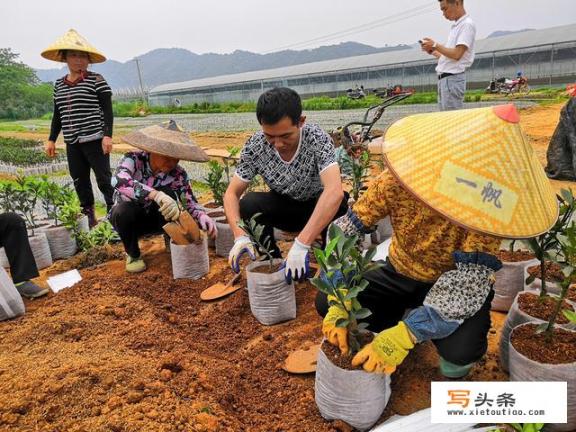 投资农业有没有前途？溧阳有哪些好玩的地方？