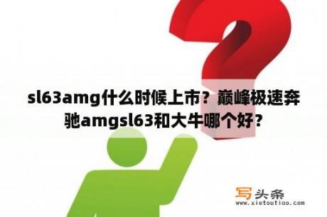 sl63amg什么时候上市？巅峰极速奔驰amgsl63和大牛哪个好？