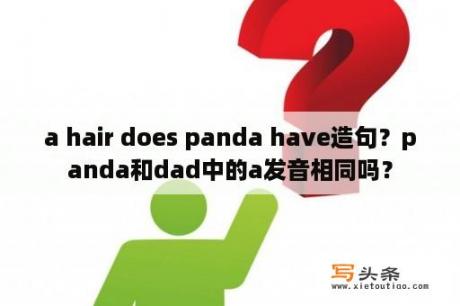 a hair does panda have造句？panda和dad中的a发音相同吗？