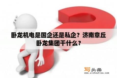 卧龙机电是国企还是私企？济南章丘卧龙集团干什么？