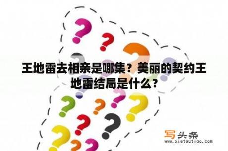 王地雷去相亲是哪集？美丽的契约王地雷结局是什么？